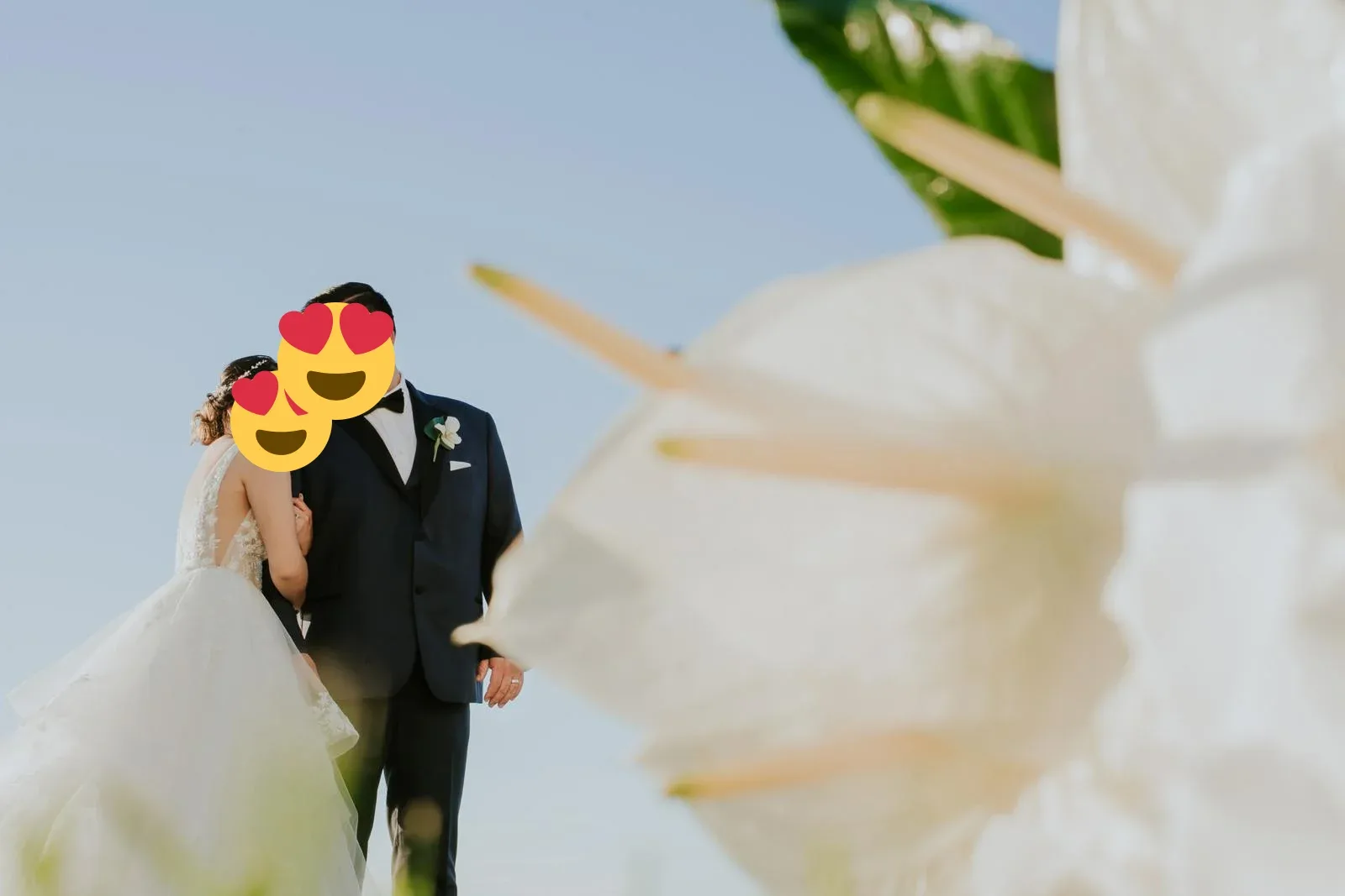 A wedding couple framed by white orchids against a blue sky